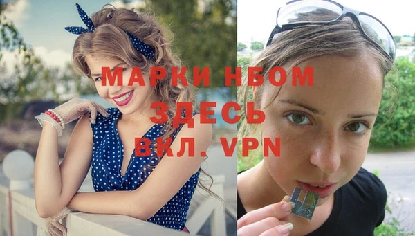 гидра Наволоки